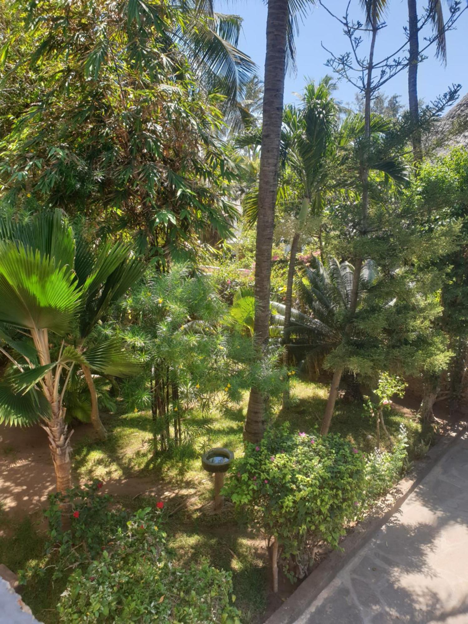 וואטאמו Marijani Holiday Resort מראה חיצוני תמונה