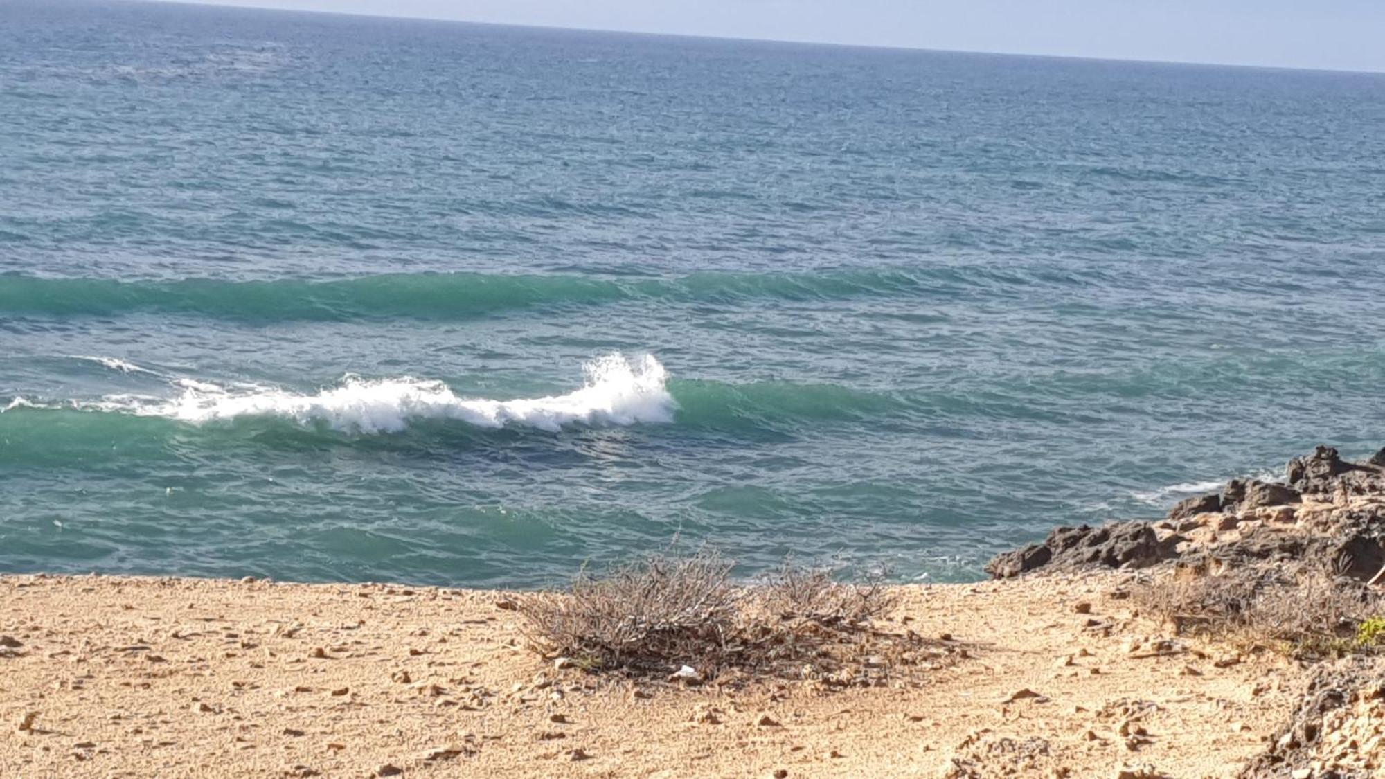 וואטאמו Marijani Holiday Resort מראה חיצוני תמונה