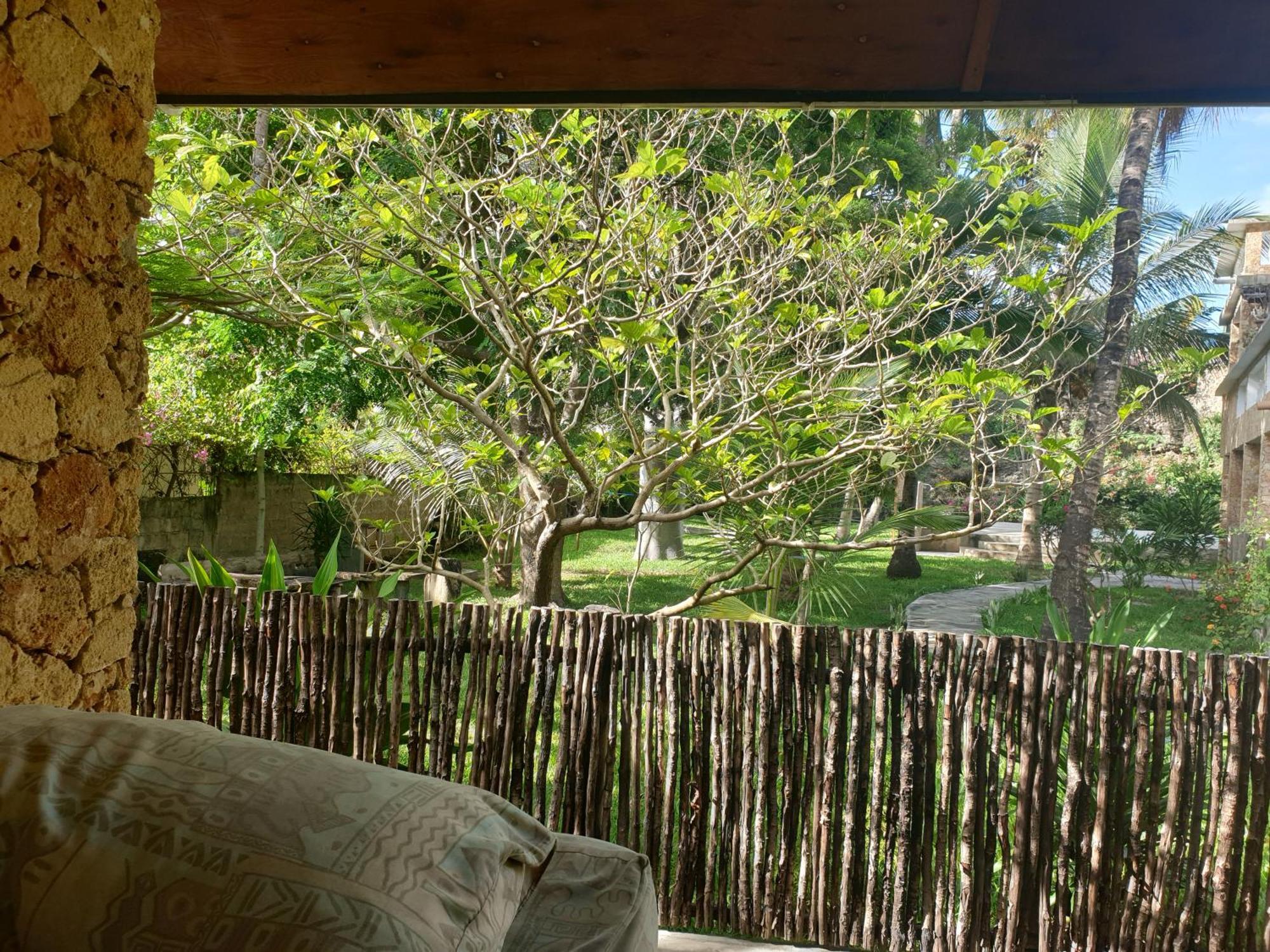 וואטאמו Marijani Holiday Resort מראה חיצוני תמונה